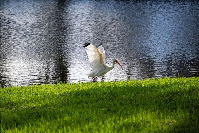 5240 HYLAND HILLS AVENUE 1424, Sarasota, FL 34241