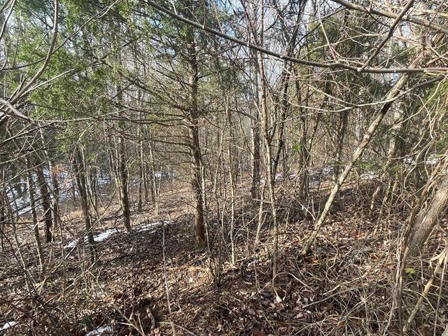 Lot 51 Shepperd, Nancy, KY 42544