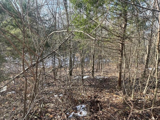 Lot 51 Shepperd, Nancy, KY 42544