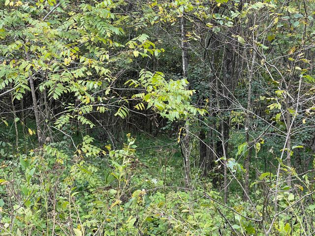 Lot 51 Shepperd, Nancy, KY 42544