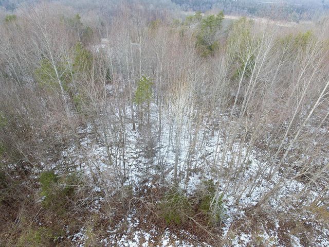 Lot 51 Shepperd, Nancy, KY 42544