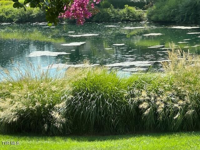 1815 Waters Edge Drive, Johnson City, TN 37604