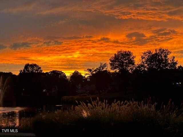 1815 Waters Edge Drive, Johnson City, TN 37604