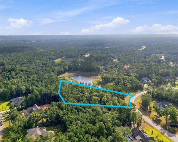 7346 Magnolia Hollow Drive, Montgomery, TX 77316