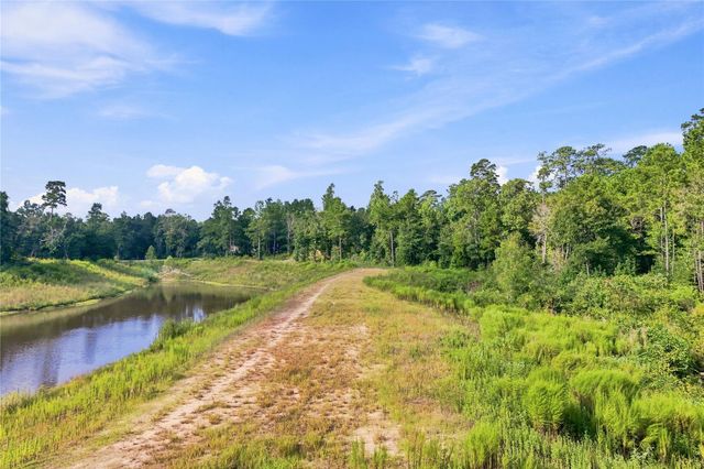7346 Magnolia Hollow Drive, Montgomery, TX 77316