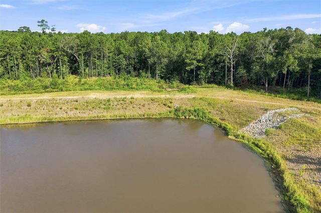 7346 Magnolia Hollow Drive, Montgomery, TX 77316