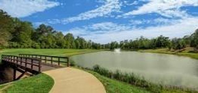 7346 Magnolia Hollow Drive, Montgomery, TX 77316