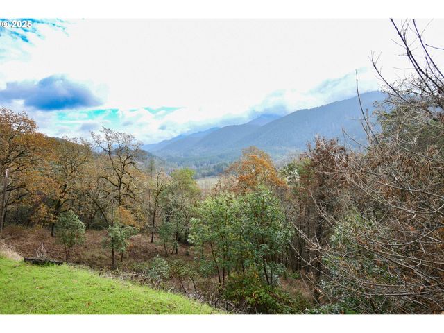 214 THOMPSON Rd, Riddle, OR 97469