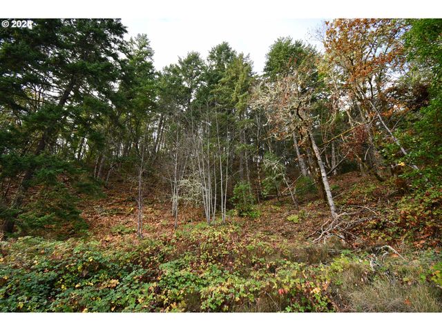 214 THOMPSON Rd, Riddle, OR 97469