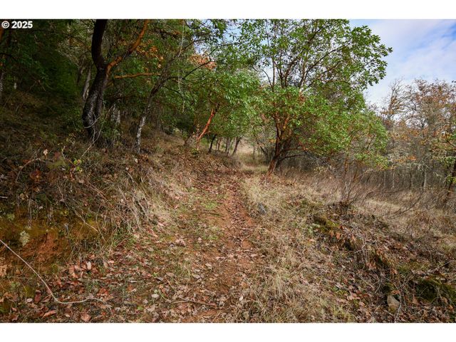 214 THOMPSON Rd, Riddle, OR 97469