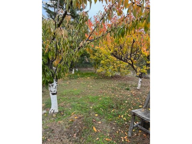 214 THOMPSON Rd, Riddle, OR 97469