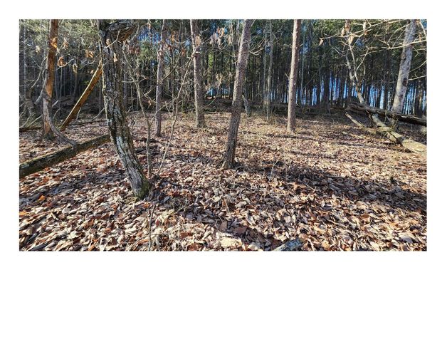 0 High Point Lane Lot 79, Jasper, TN 37347