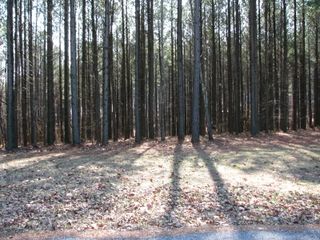 0 High Point Lane Lot 79, Jasper, TN 37347