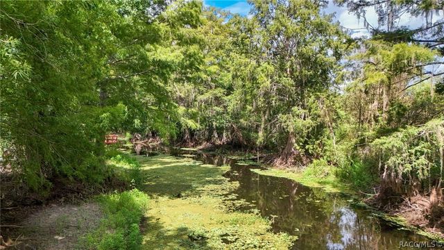 11645 E Salmon Drive, Floral City, FL 34436