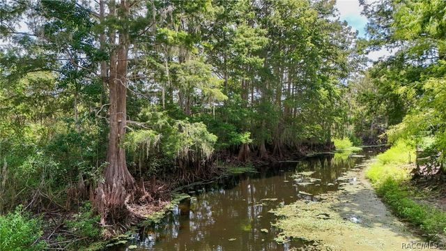 11645 E Salmon Drive, Floral City, FL 34436