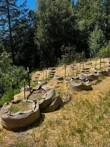 79005 Highway 271 None, Piercy, CA 95587