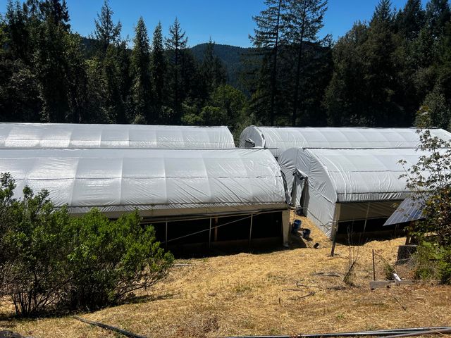 79005 Highway 271 None, Piercy, CA 95587