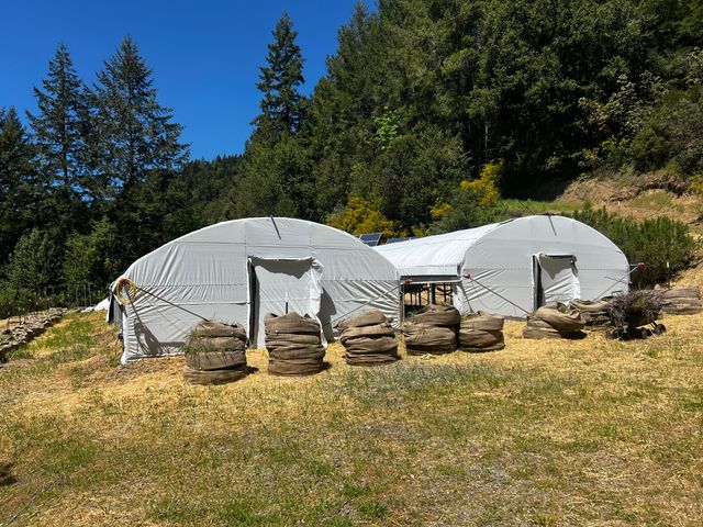 79005 Highway 271 None, Piercy, CA 95587