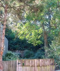 507 Tafel Street, Cincinnati, OH 45225