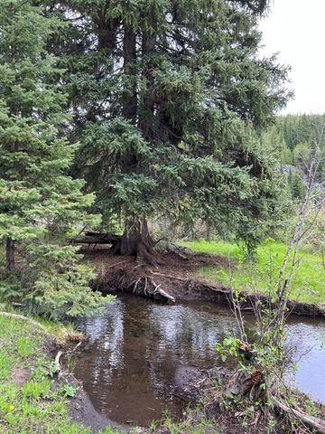 NHN Griffin Creek Road, Marion, MT 59925 property photo