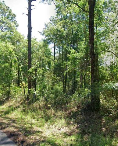 3676 E WALKER STREET, Inverness, FL 34453