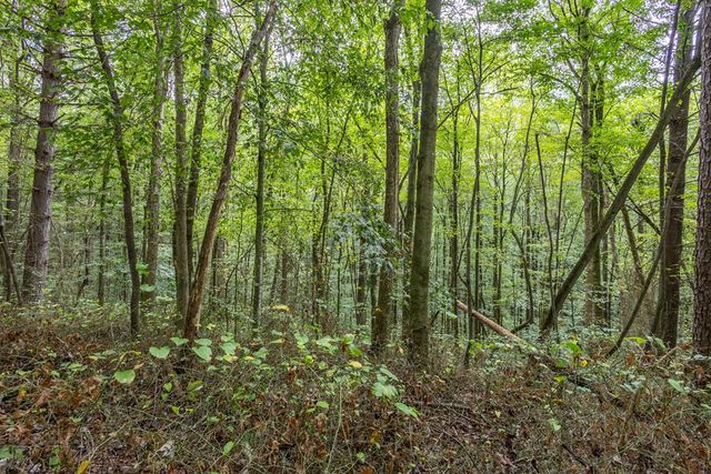 3 AC Chestnut Flats Road, Andrews, NC 28901