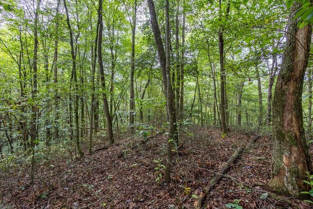 3 AC Chestnut Flats Road, Andrews, NC 28901