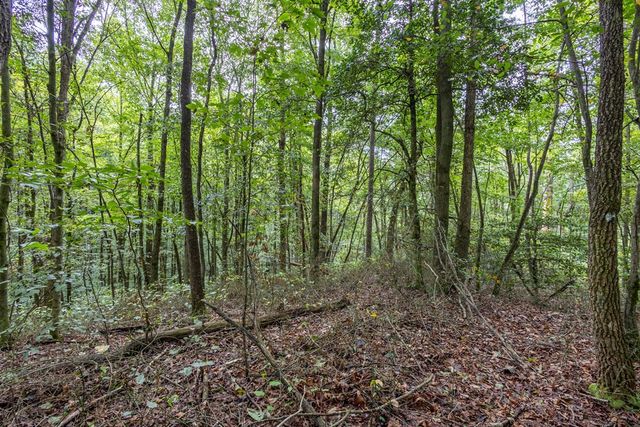 3 AC Chestnut Flats Road, Andrews, NC 28901