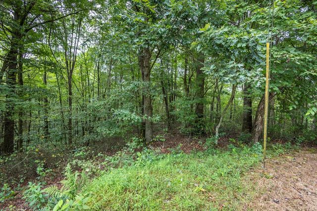3 AC Chestnut Flats Road, Andrews, NC 28901