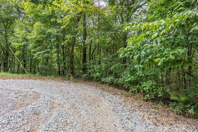 3 AC Chestnut Flats Road, Andrews, NC 28901