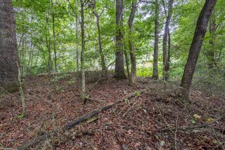3 AC Chestnut Flats Road, Andrews, NC 28901