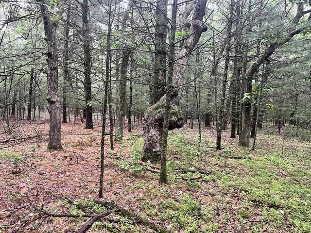 2501 6th Avenue, Grand Marsh, WI 53936