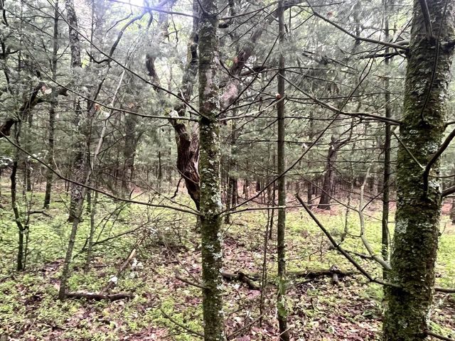 2501 6th Avenue, Grand Marsh, WI 53936