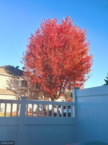 11568 Elmwood Avenue N, Champlin, MN 55316