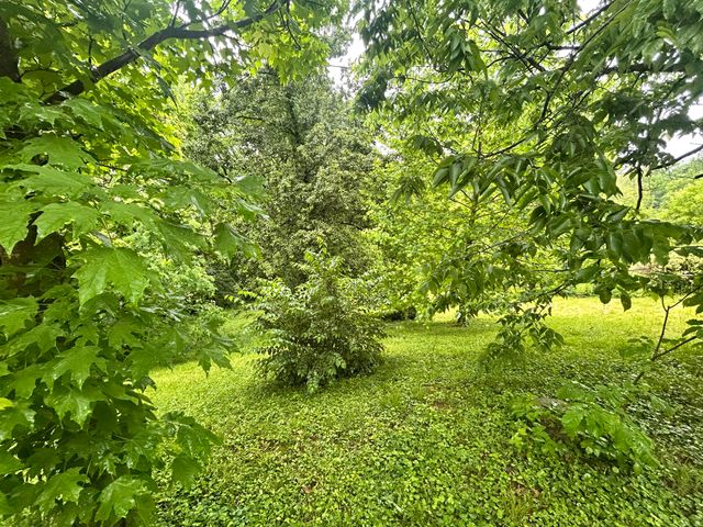 806 Cox Road, Independence, KY 41051