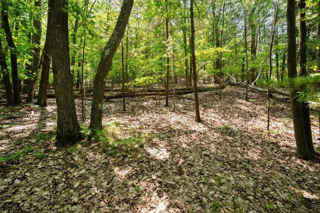 4513 Weathering Heights Road, Traverse City, MI 49686