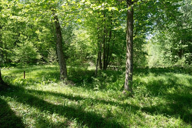 4658 W Fern Glen, Fremont, MI 49412