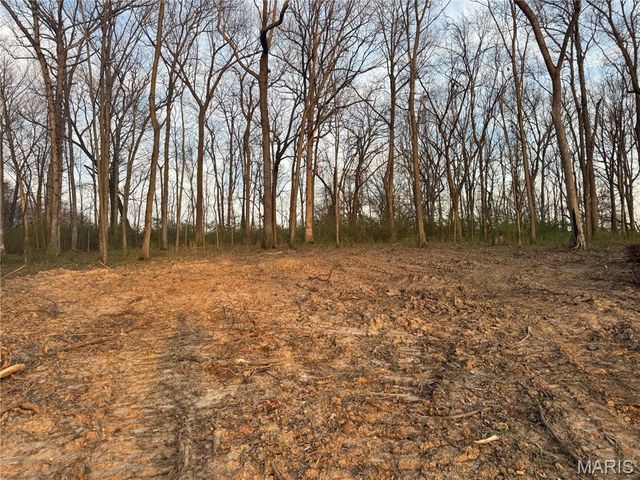 2988 Scott Road, Moscow Mills, MO 63362