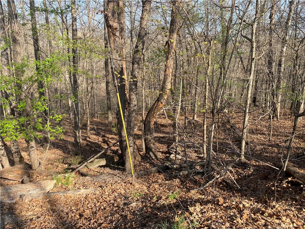 TBD East Crook Lane, Bella Vista, AR 72714