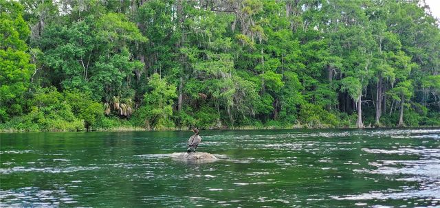 19660 SW 83RD PLACE ROAD C16, Dunnellon, FL 34432