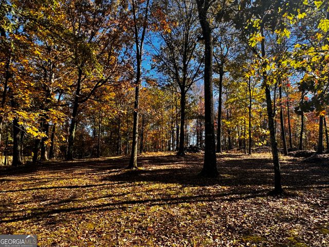 22 Ilene Drive, Cleveland, GA 30528