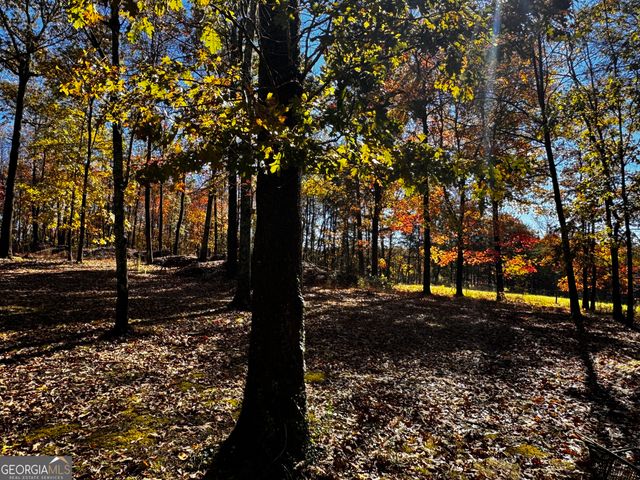 22 Ilene Drive, Cleveland, GA 30528