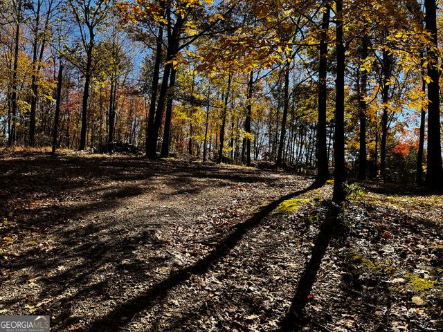 22 Ilene Drive, Cleveland, GA 30528