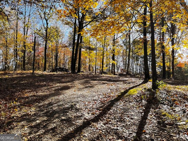 22 Ilene Drive, Cleveland, GA 30528