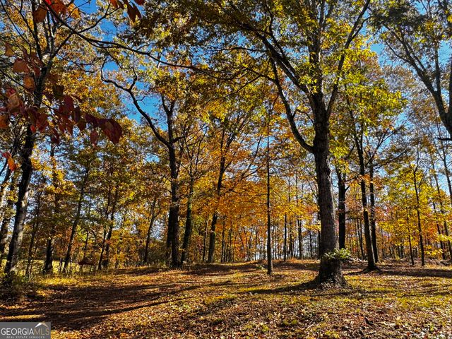 22 Ilene Drive, Cleveland, GA 30528