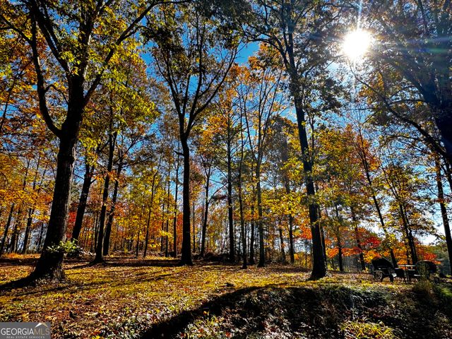 22 Ilene Drive, Cleveland, GA 30528