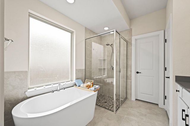 27208 Dripping Ledge Court, Magnolia, TX 77354