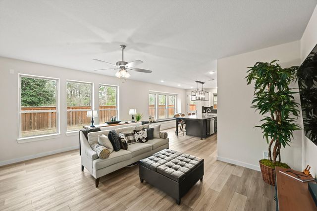 27208 Dripping Ledge Court, Magnolia, TX 77354