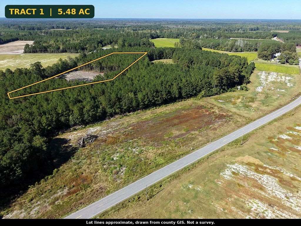 TBD Tranquil Rd., Nichols, SC 29581 — photo 3