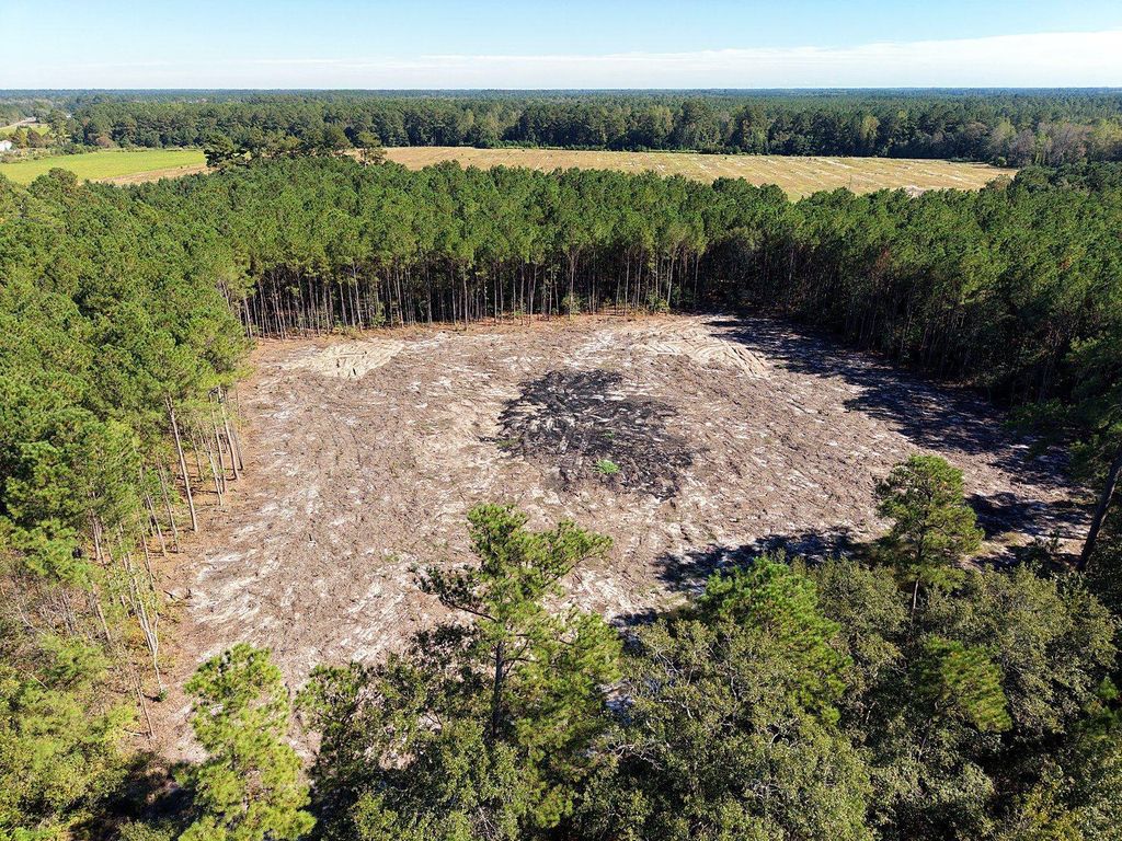 TBD Tranquil Rd., Nichols, SC 29581 — photo 4